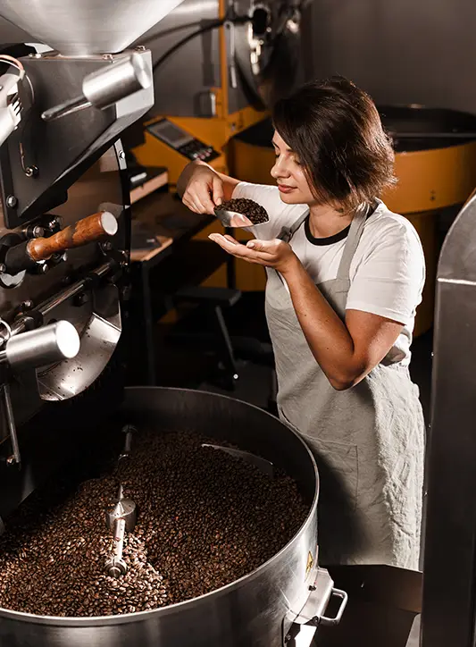 Roasterka kontrolująca jakość wypalonego ziarna