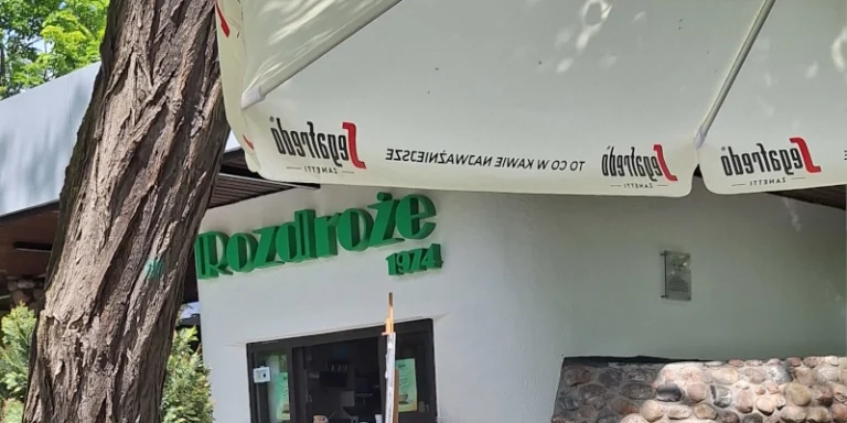 rozdroze